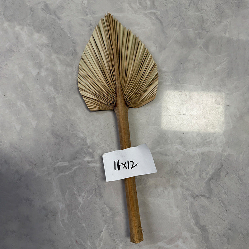 Palm Leaf Fan
