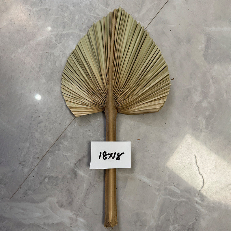 Palm Leaf Fan