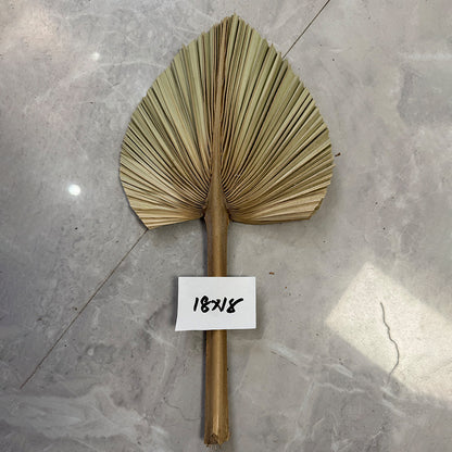 Palm Leaf Fan