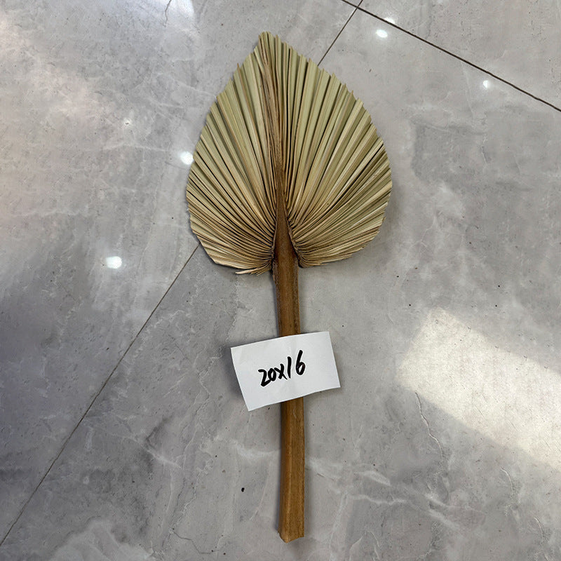 Palm Leaf Fan