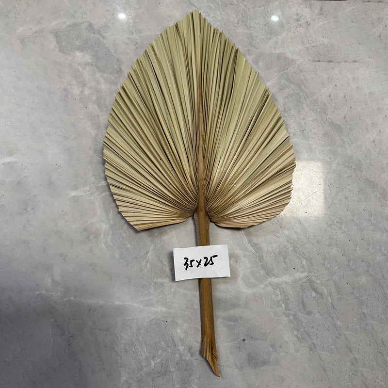 Palm Leaf Fan