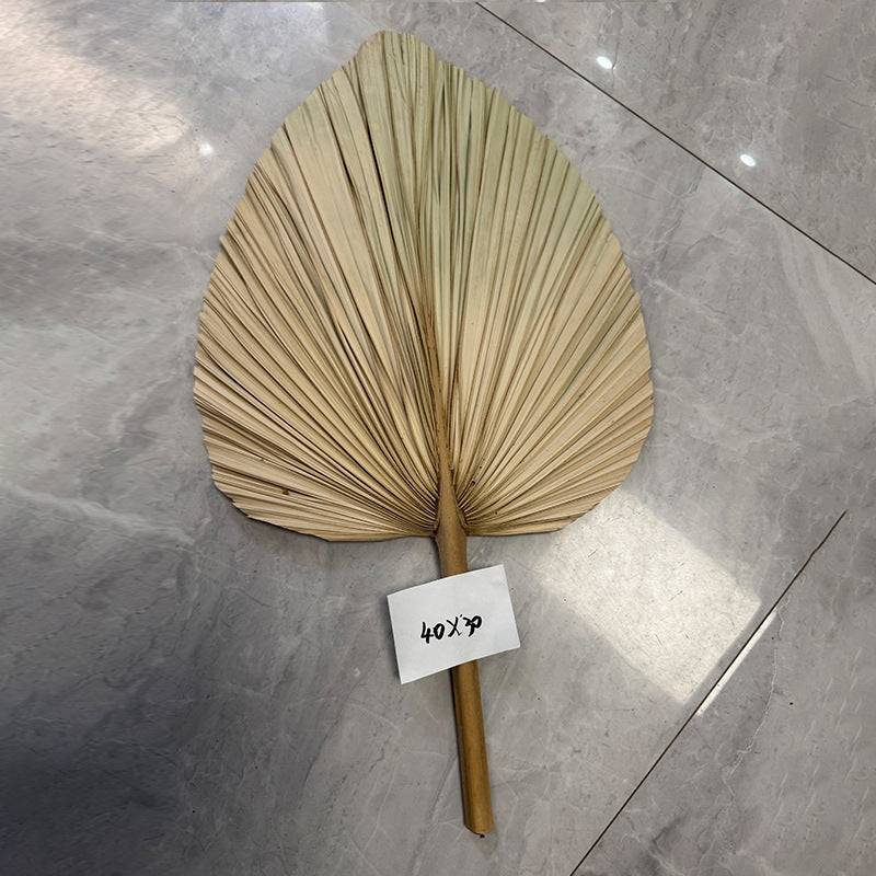 Palm Leaf Fan