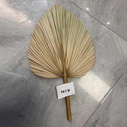 Palm Leaf Fan