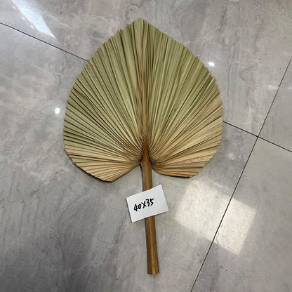 Palm Leaf Fan