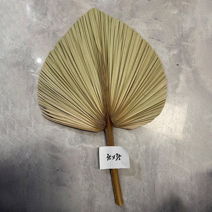Palm Leaf Fan