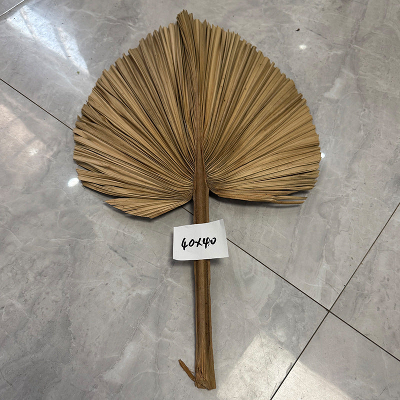 Palm Leaf Fan