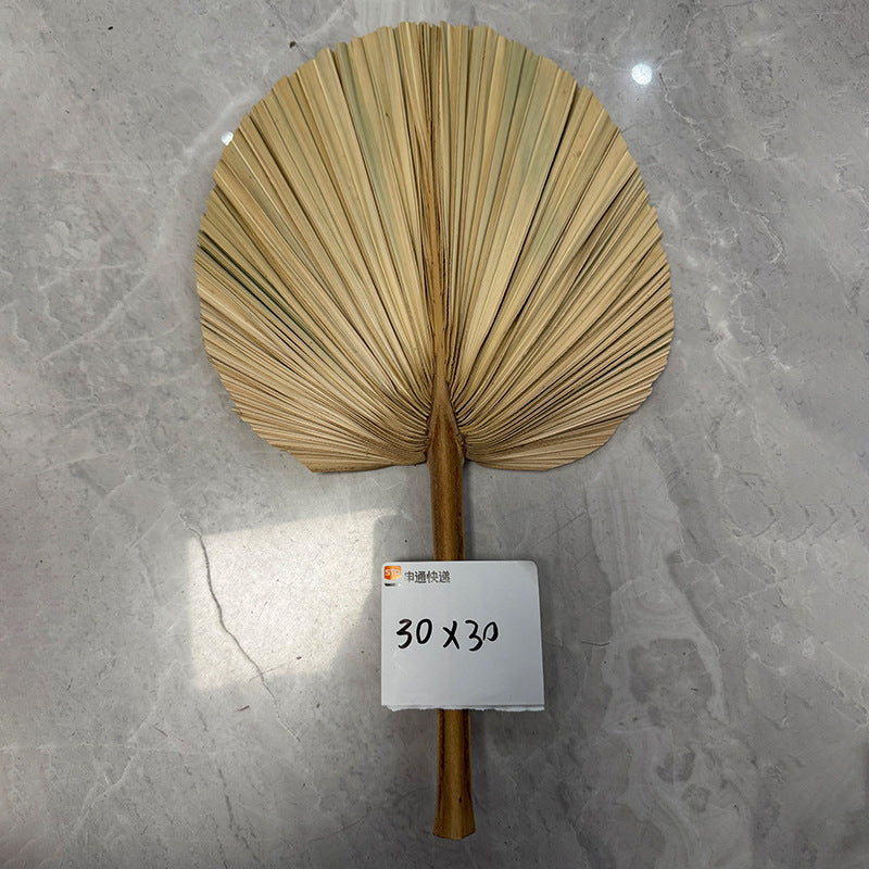Palm Leaf Fan