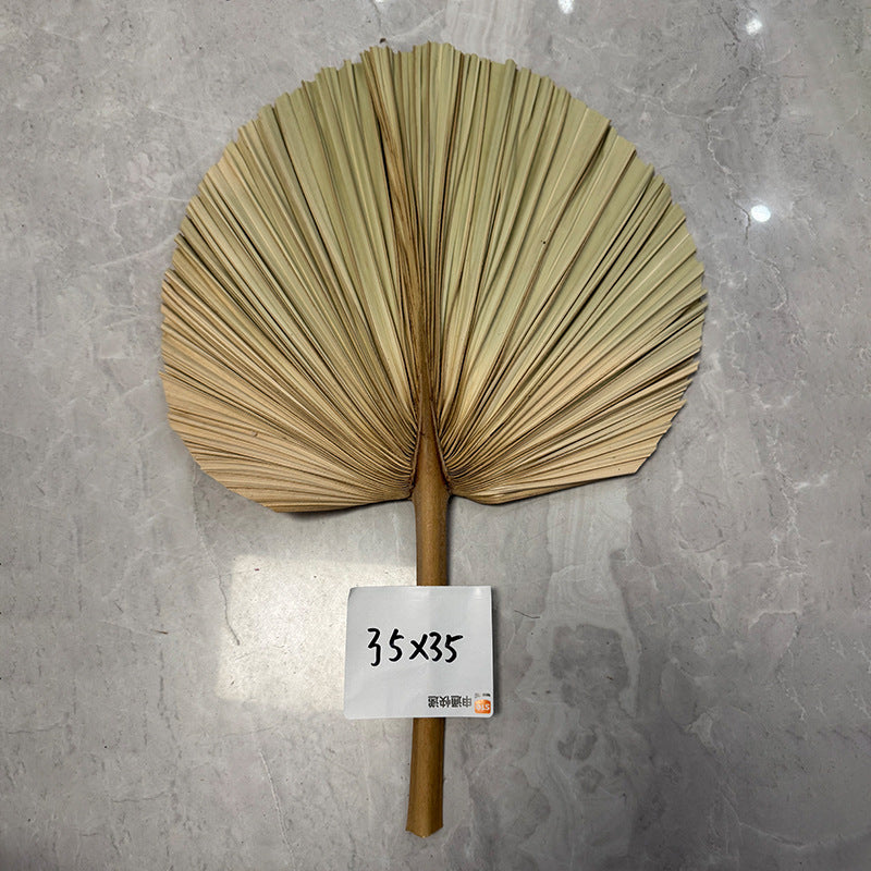 Palm Leaf Fan