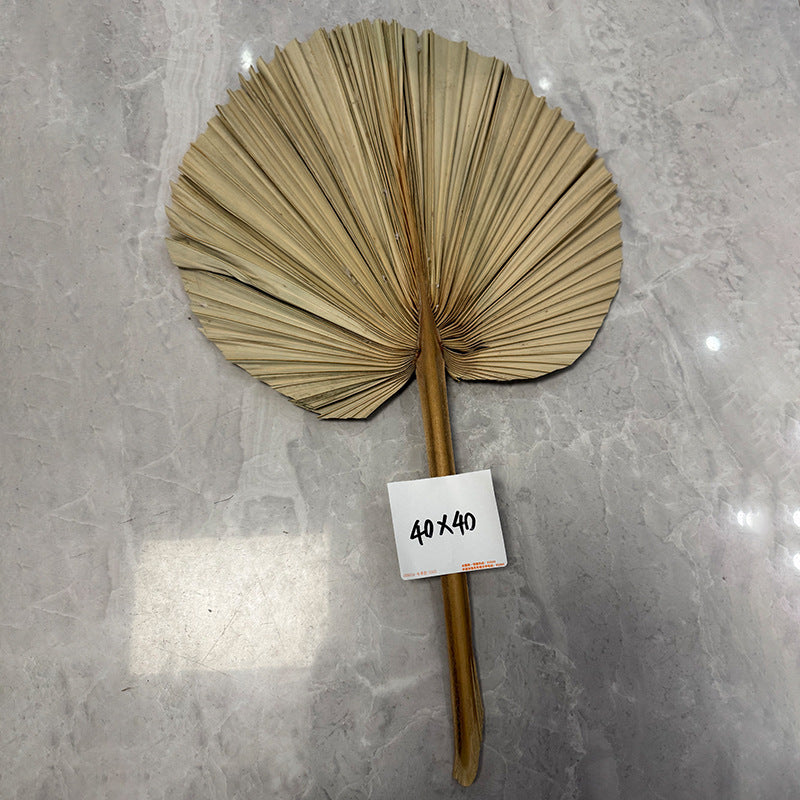 Palm Leaf Fan