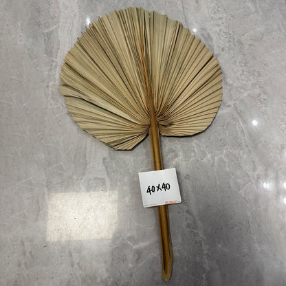 Palm Leaf Fan