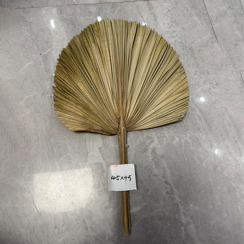 Palm Leaf Fan