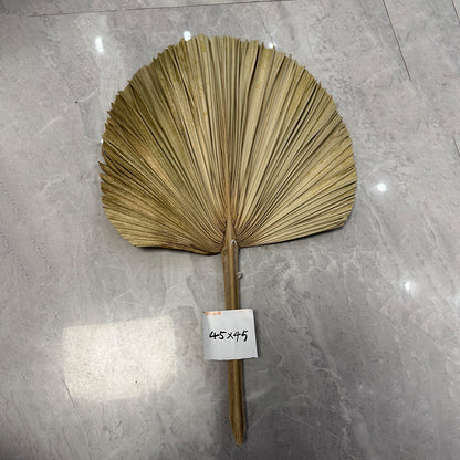 Palm Leaf Fan