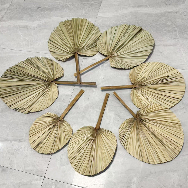 Palm Leaf Fan