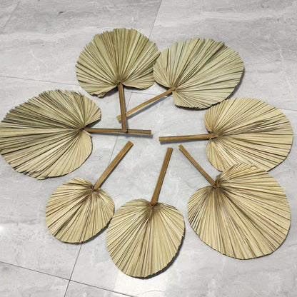 Palm Leaf Fan