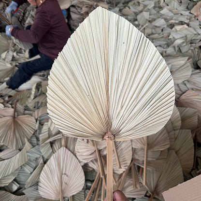 Palm Leaf Fan