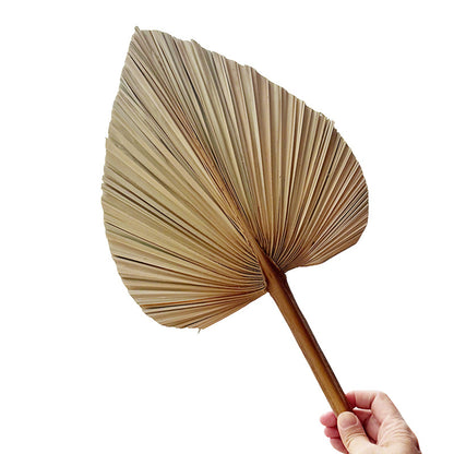 Palm Leaf Fan