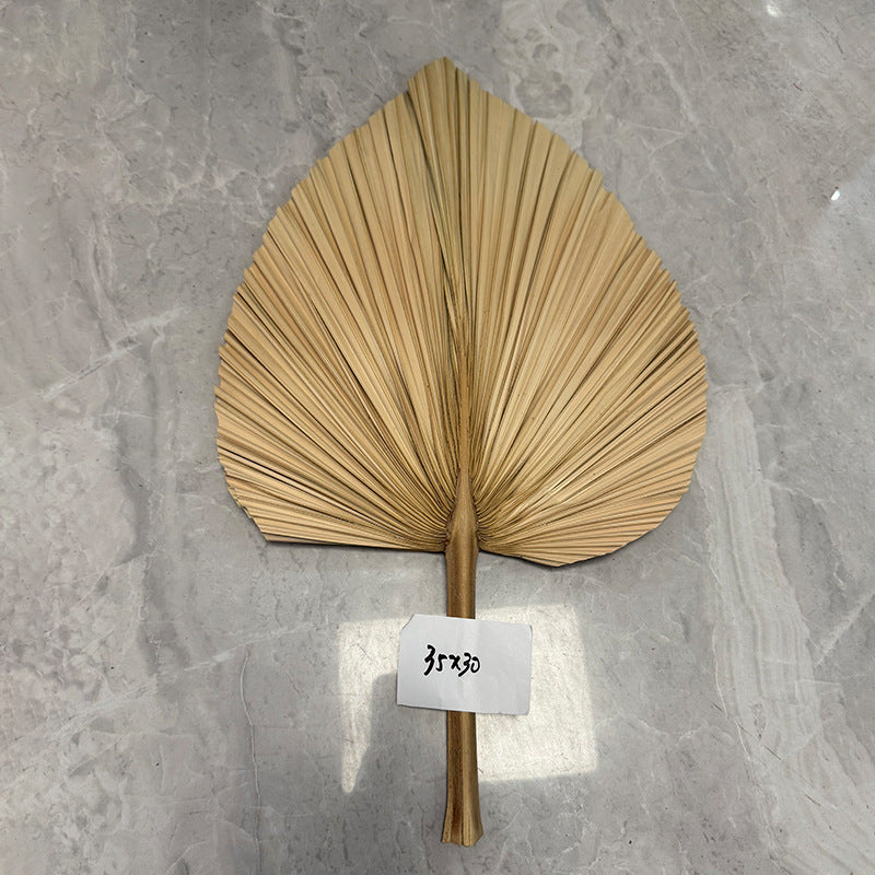 Palm Leaf Fan