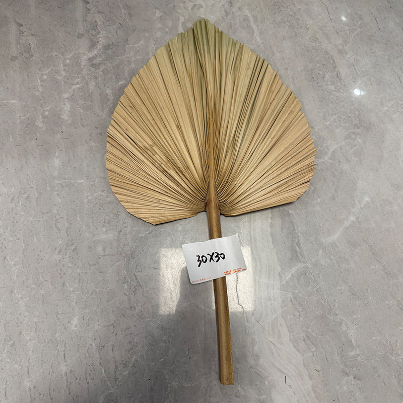 Palm Leaf Fan