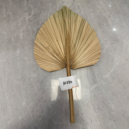 Palm Leaf Fan