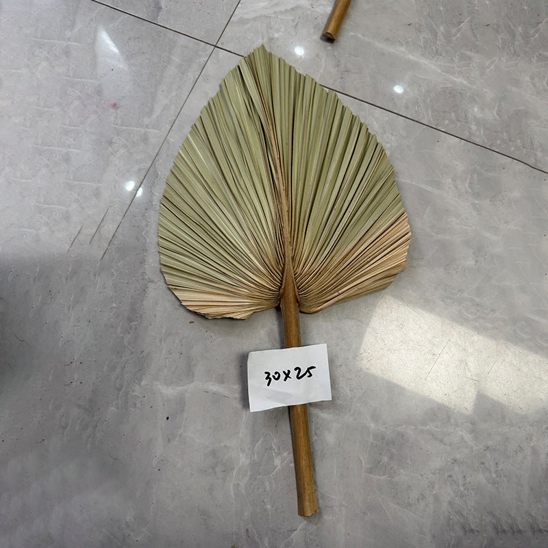Palm Leaf Fan