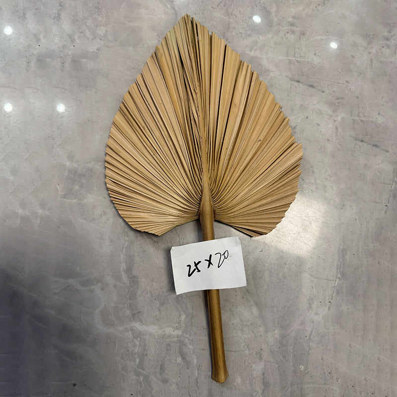 Palm Leaf Fan