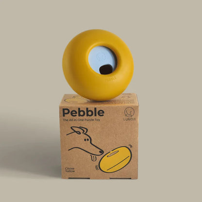 Pebble Food Leakage Enrichment Educational Toy