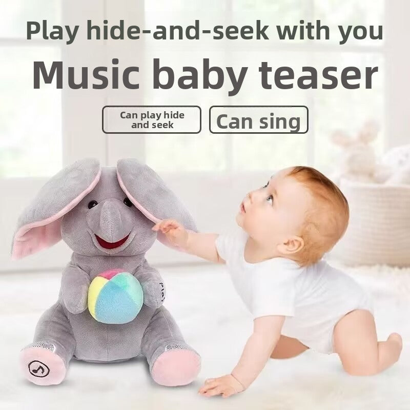 Peek-a-Boo Toy