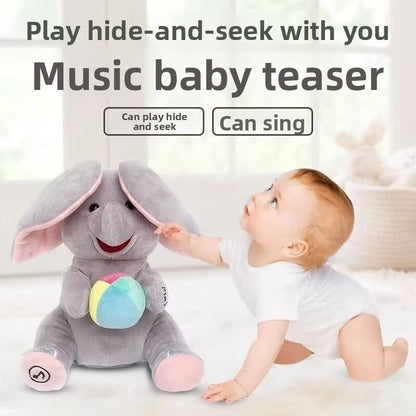 Peek-a-Boo Toy