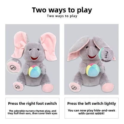 Peek-a-Boo Toy