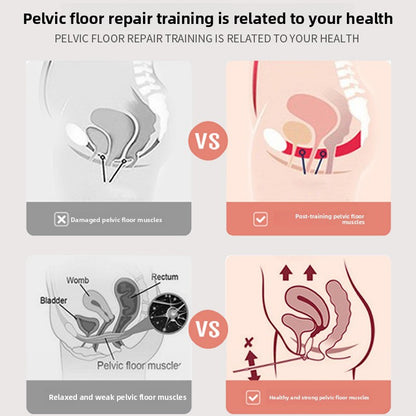 Pelvic Muscle Trainer