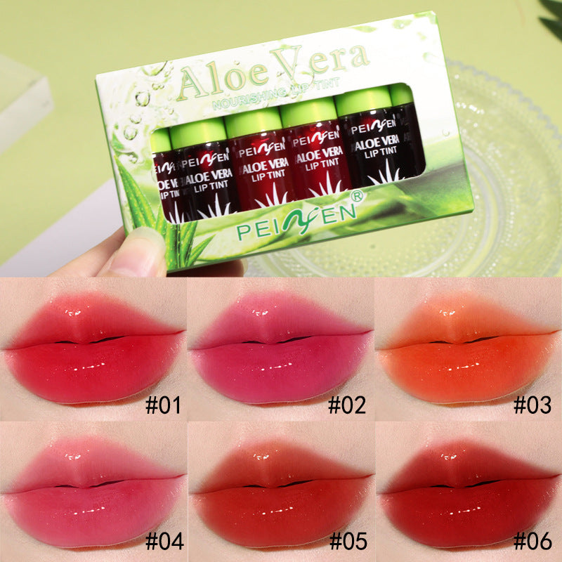 Penifen Aloe Vera Lip Gloss Moisturizing Lipstick Set