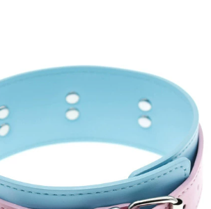 Personalized collar leash toy