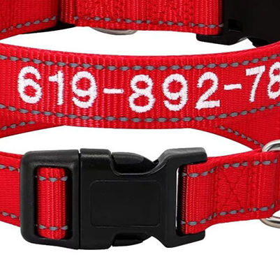 Personalized Dog Collar