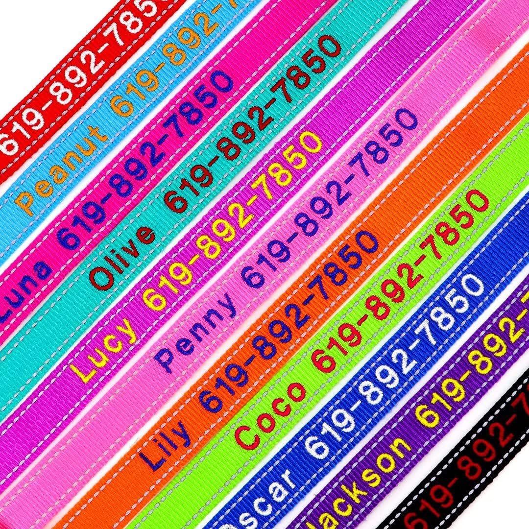 Personalized Dog Collar