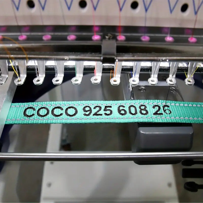 Personalized Dog Collar