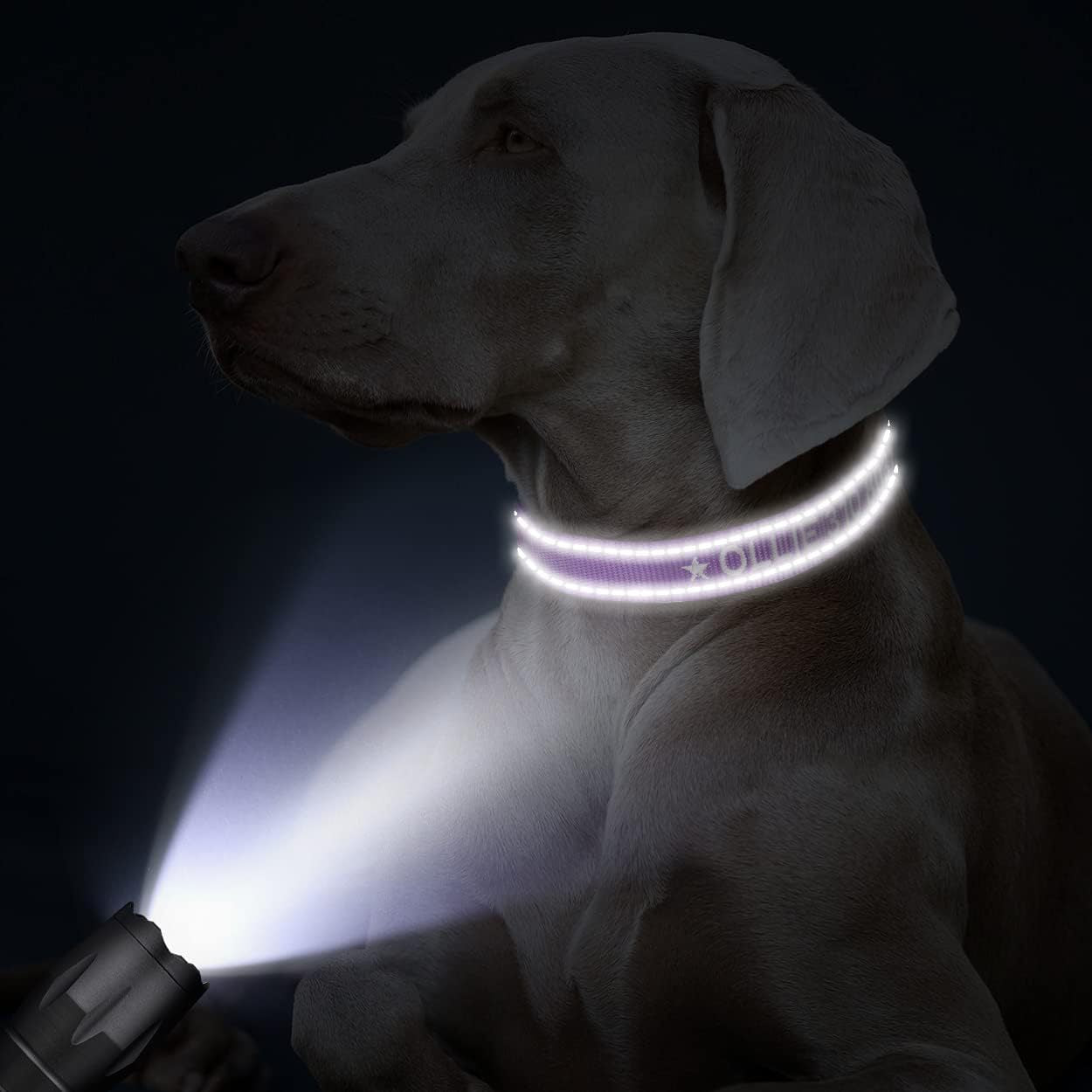 Personalized Dog Collar