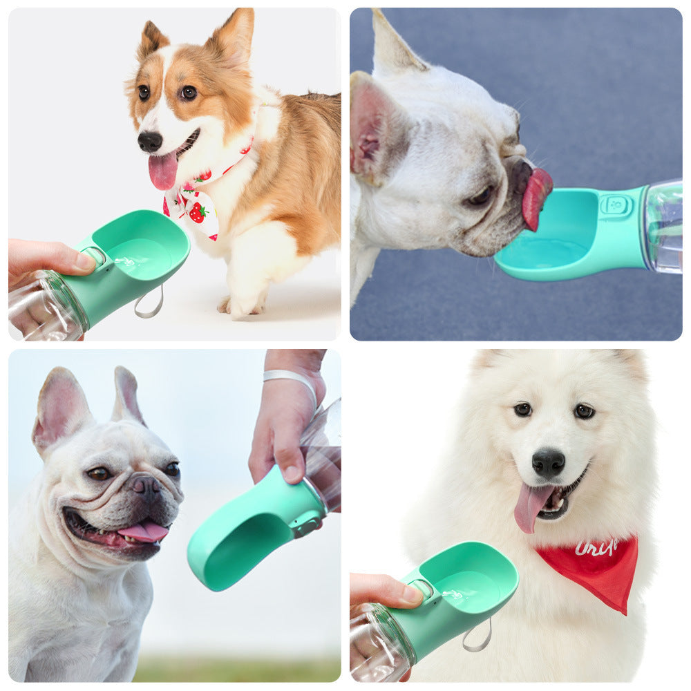 pet accompanying cup