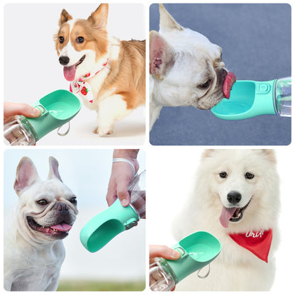 pet accompanying cup