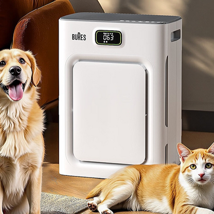 Pet air purifier