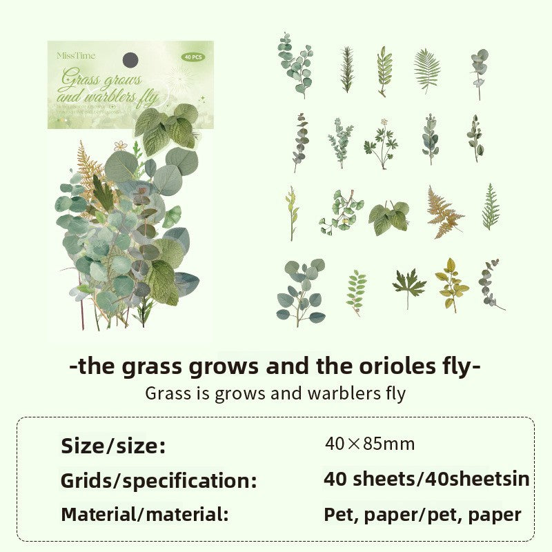 Pet and Washi Paper Dual-Material Sticker