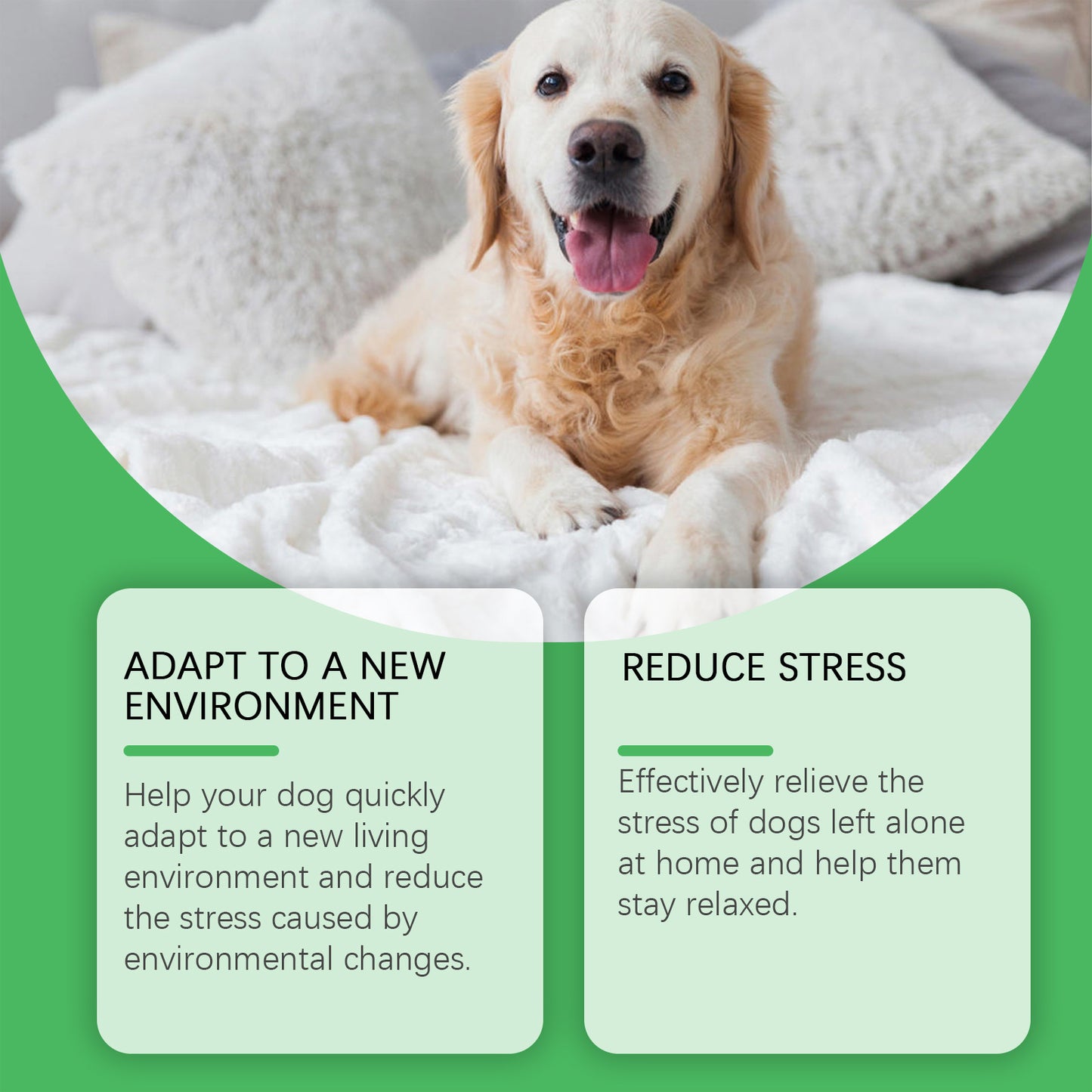 Pet Anxiety Relief Dog Emotion Diffuser
