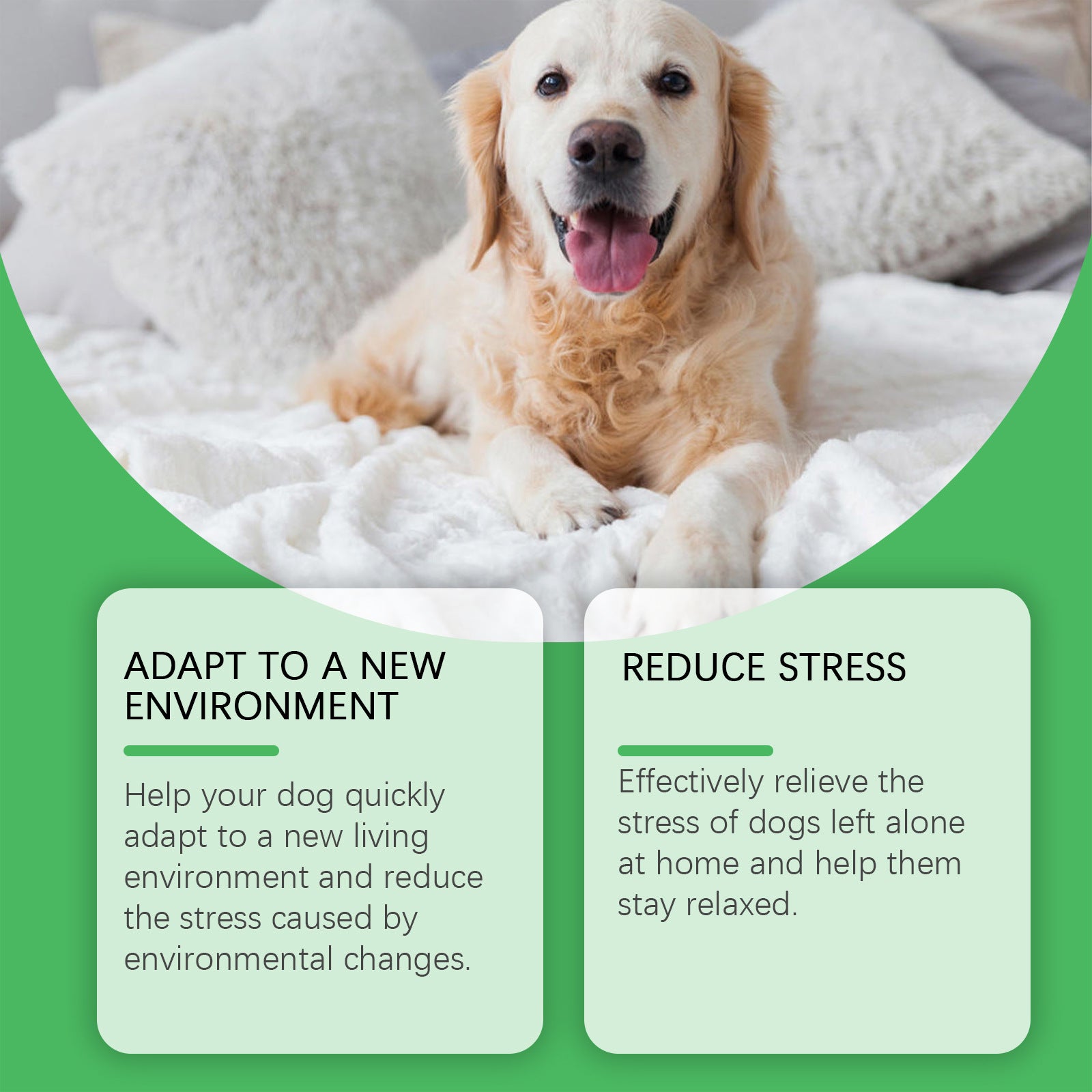 Pet Anxiety Relief Dog Emotion Diffuser