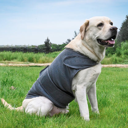 Pet Anxiety Vest