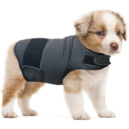 Pet Anxiety Vest