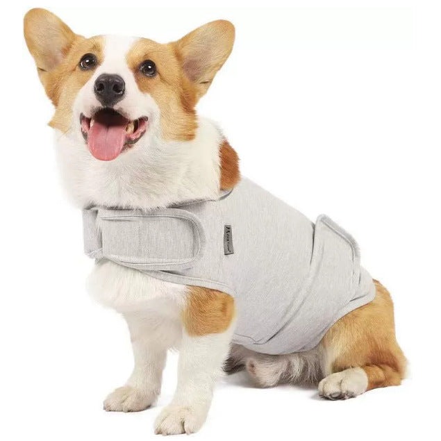 Pet Anxiety Vest