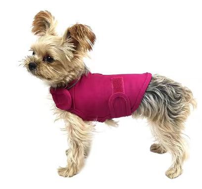 Pet Anxiety Vest