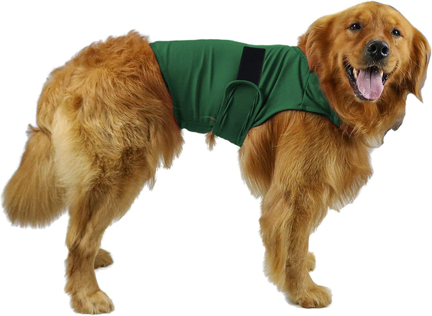 Pet Anxiety Vest