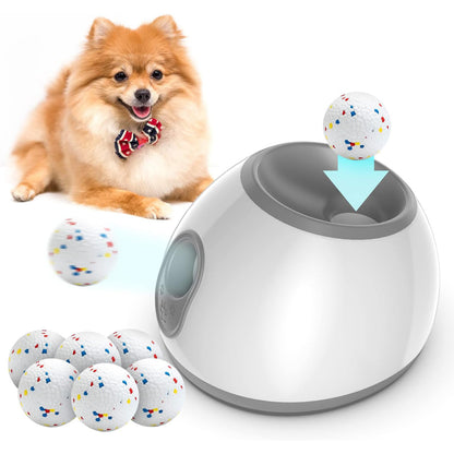Pet Automatic Launcher