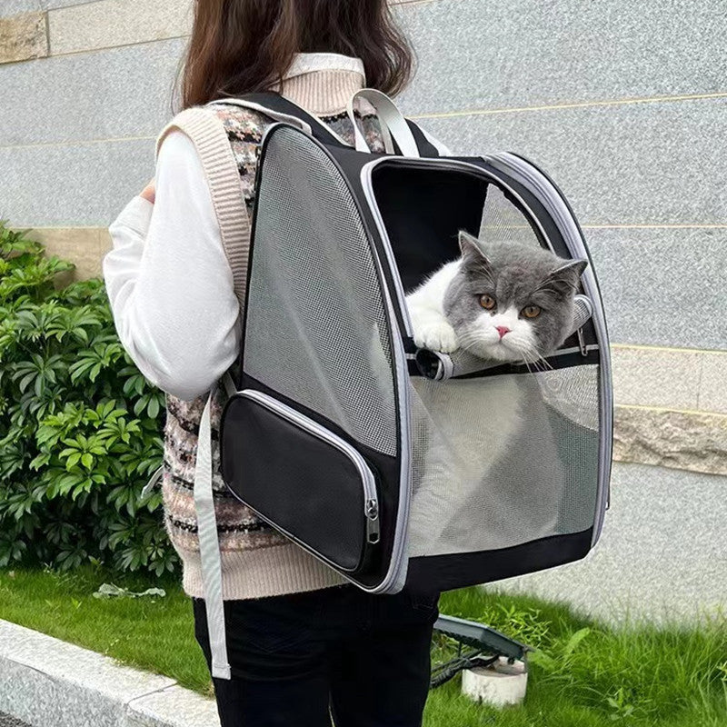 Pet Backpack with Mesh Panel