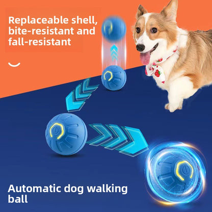 Pet ball electric dog toy